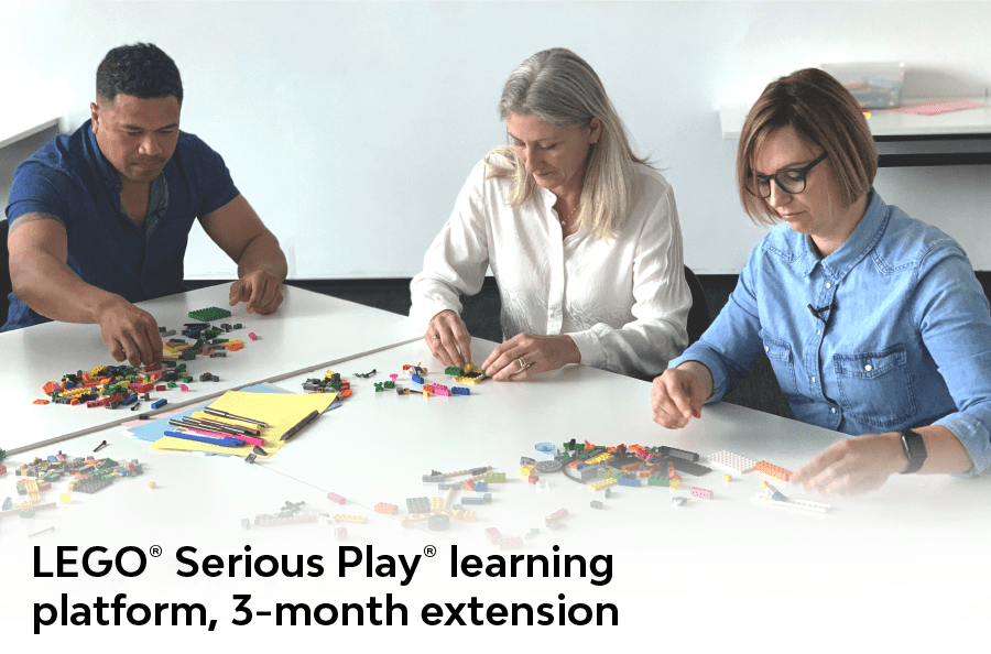 The LEGO® SERIOUS PLAY® Facilitator Program - 3-month extension